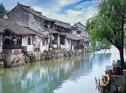 東林寺・楓涇古鎮日帰り観光プラン